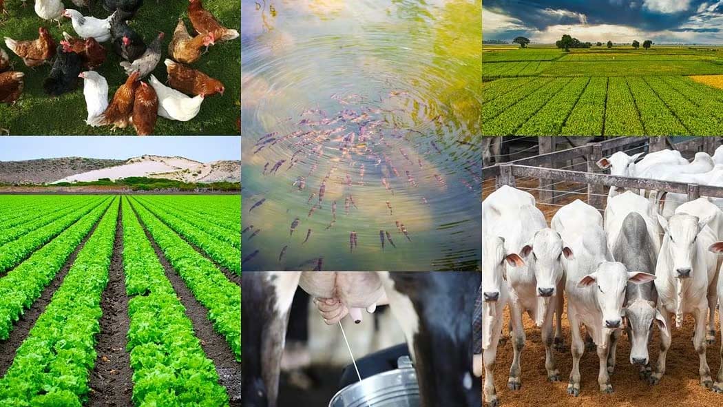 Richest Integrated Farmer of India