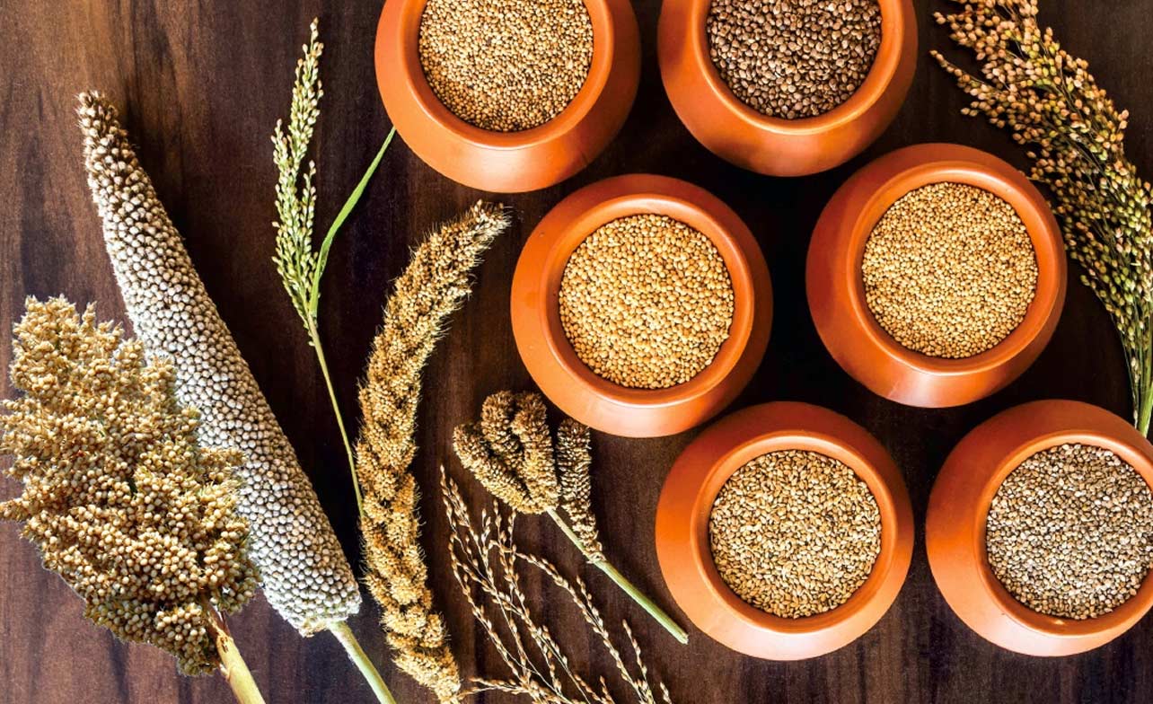 Millionaire Millet Farmer of India