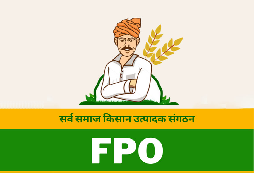 Millionaire FPO of The Year